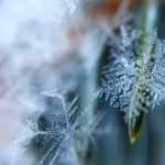 Can Miracle Forgiveness cure illness?　許すことで病気は治るのか？
