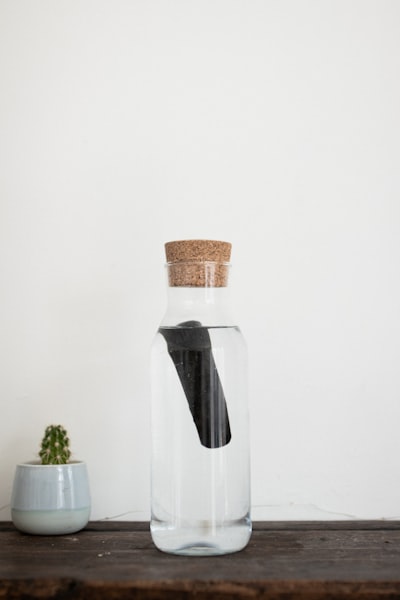 Charcoal for Detoxification 解毒に炭