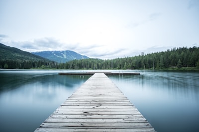 Struggling with mental illness?精神病とEPA・DHA・アラキドン酸との関係は?